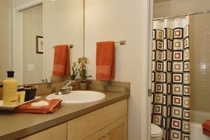 Seattle Staged Beltown Modern Ellington Condo