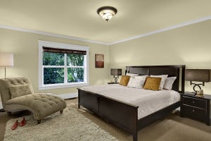 Seattle Staged Ballard Neighborhood Craftsman Master Bedroom
