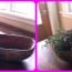 nuruz2collage