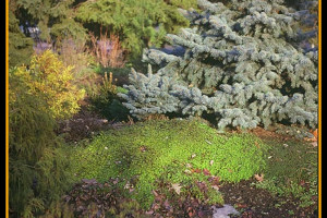 Evergreen Gardens winter gardens for homes for sale