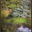 winter gardens for homes for sale